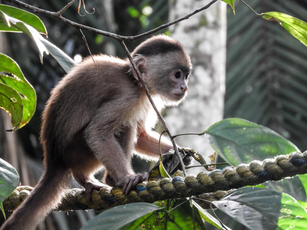 Colômbia busca liderança em Turismo Sustentável