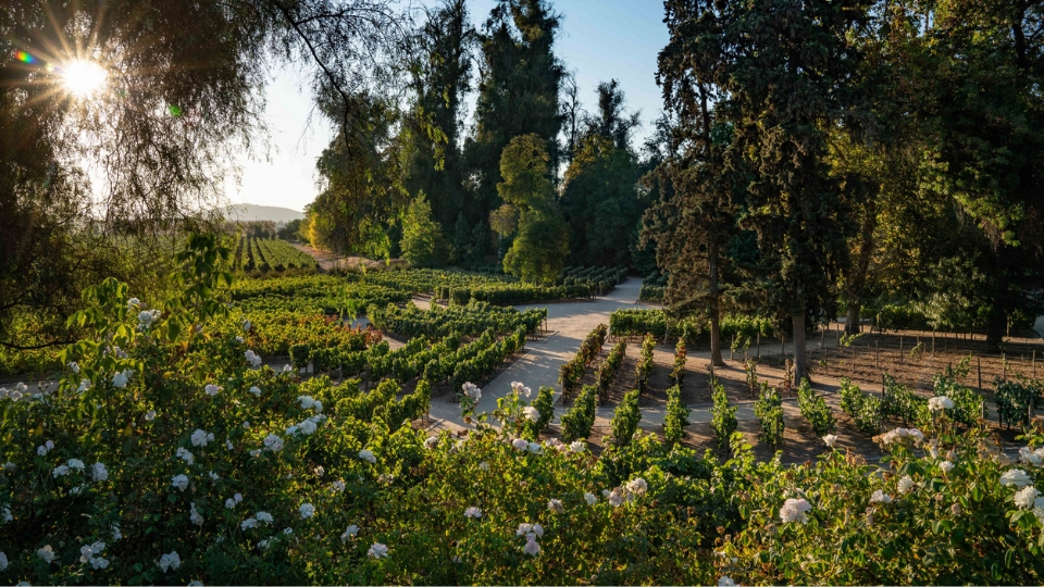 Centro Turístico da Viña Concha y Toro obtém certificação de turismo sustentável