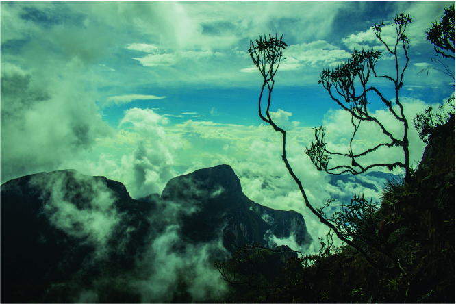 Pico da Neblina volta a ser palco dos aventureiros