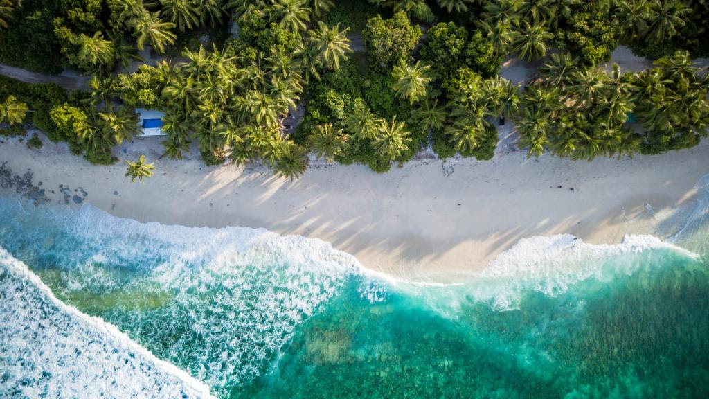 Sustentabilidade, o desafio urgente do turismo na sua recuperação