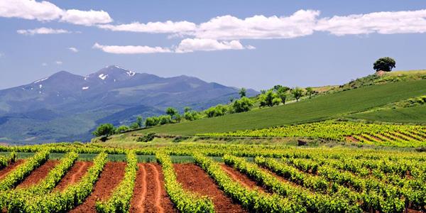 La Rioja, um canto da Argentina com muitos parques ecológicos e enoturismo