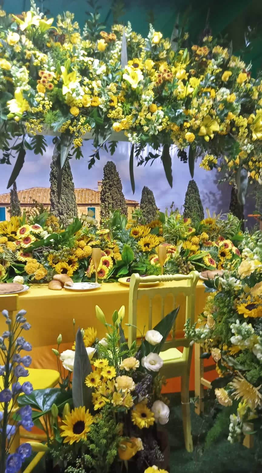 Aberta a 39ª Expoflora em Holambra