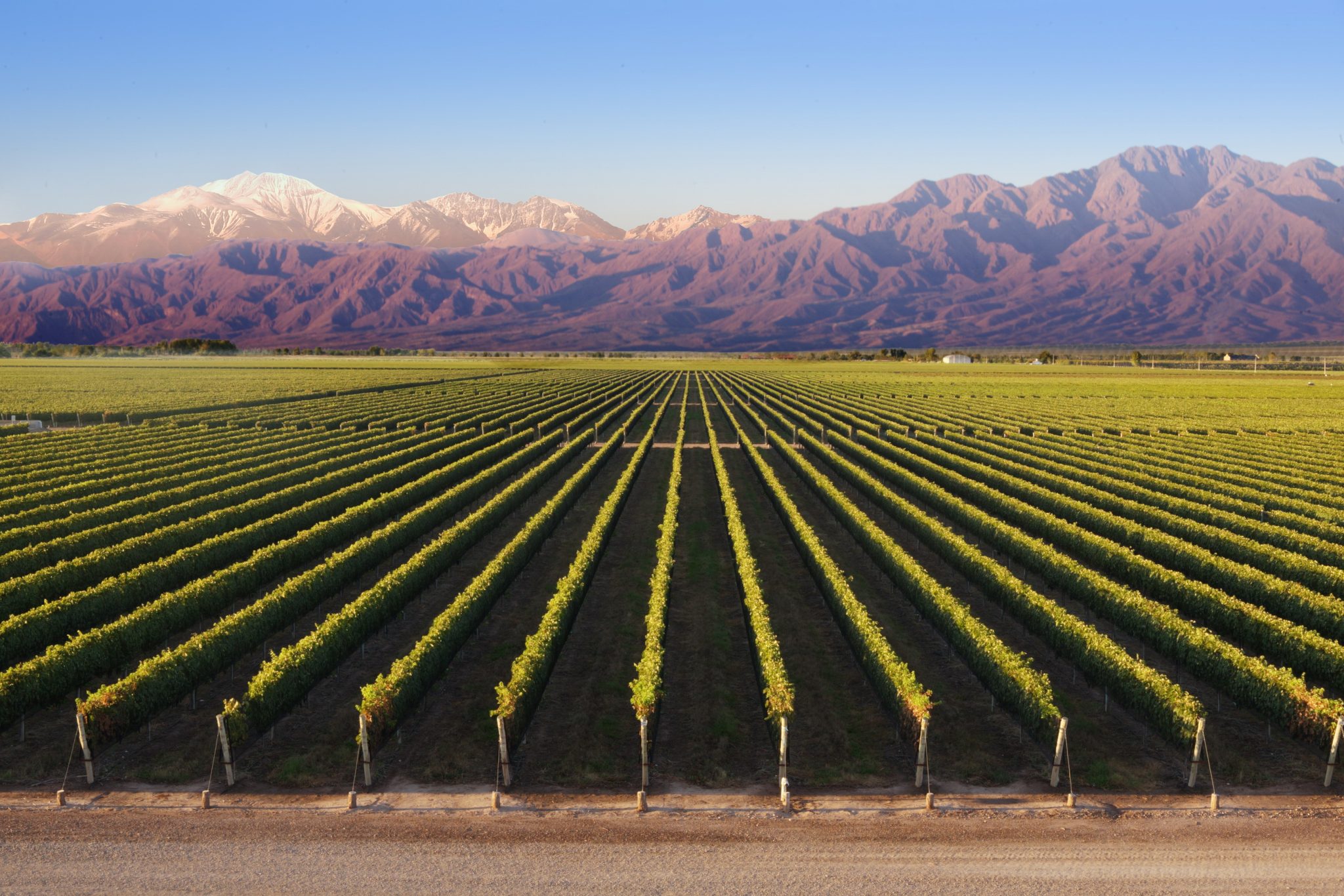 Mendoza, muito mais que um destino de enoturismo