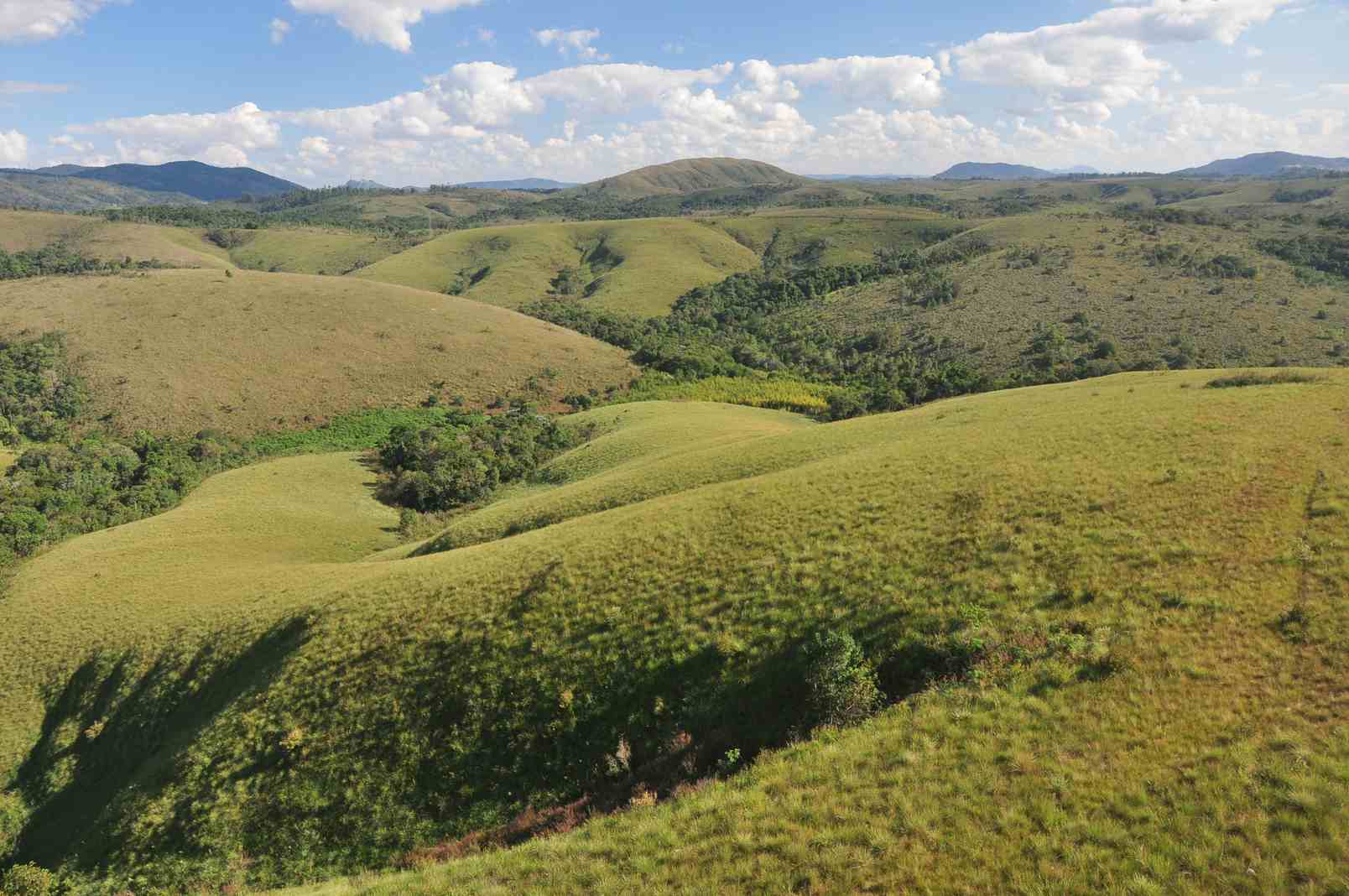 Parque Estadual do Juquery terá trilha de mountain bike para crianças e adolescentes