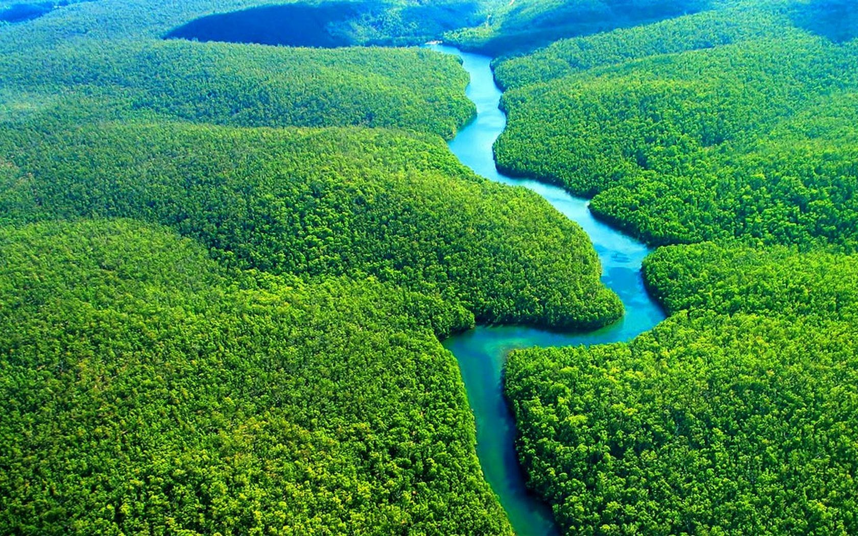 Amazônia um dos biomas verdes que incentiva o turismo de natureza pelo Brasil