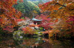 Japão no outono é temporada de cores deslumbrantes e tradições enriquecedoras