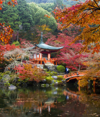 Japão no outono é temporada de cores deslumbrantes e tradições enriquecedoras