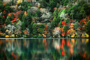 Japão no outono é temporada de cores deslumbrantes e tradições enriquecedoras