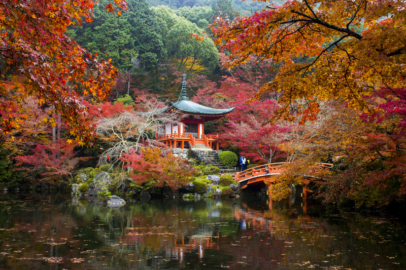 Japão no outono é temporada de cores deslumbrantes e tradições enriquecedoras