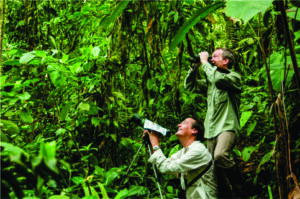 Condores, beija-flores e tucanos em Quito, uma meca da observação de aves com 542 tipos de aves