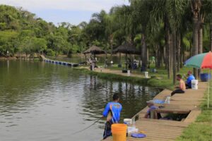 Parque Maeda oferece experiência única de colheita e degustação de morangos