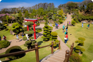 Parque Maeda oferece experiência única de colheita e degustação de morangos