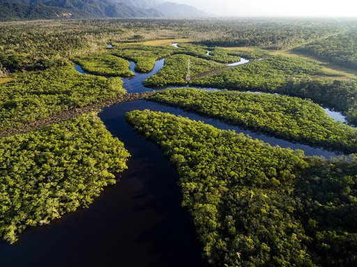 Estados do norte do Brasil se unem para criar Rotas Amazônicas Integradas