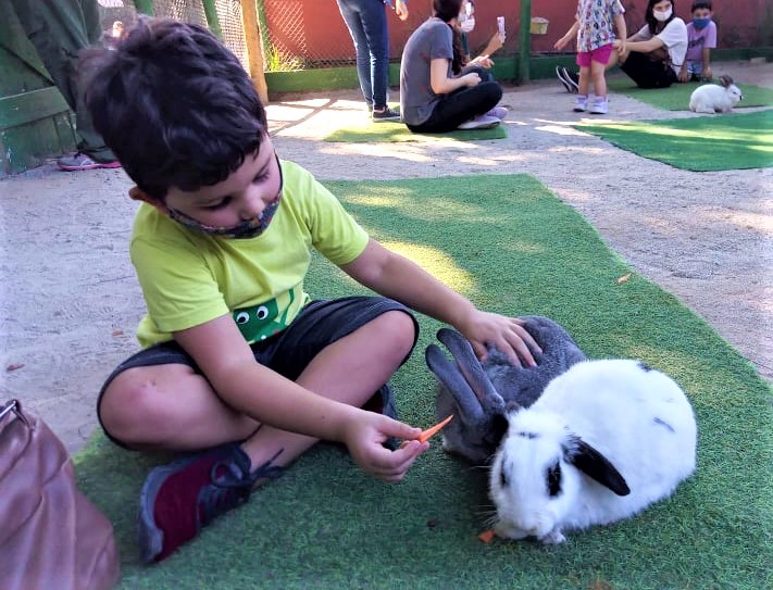 Fazendinhas são ótimos passeios para fazer crianças se aproximarem aos animais