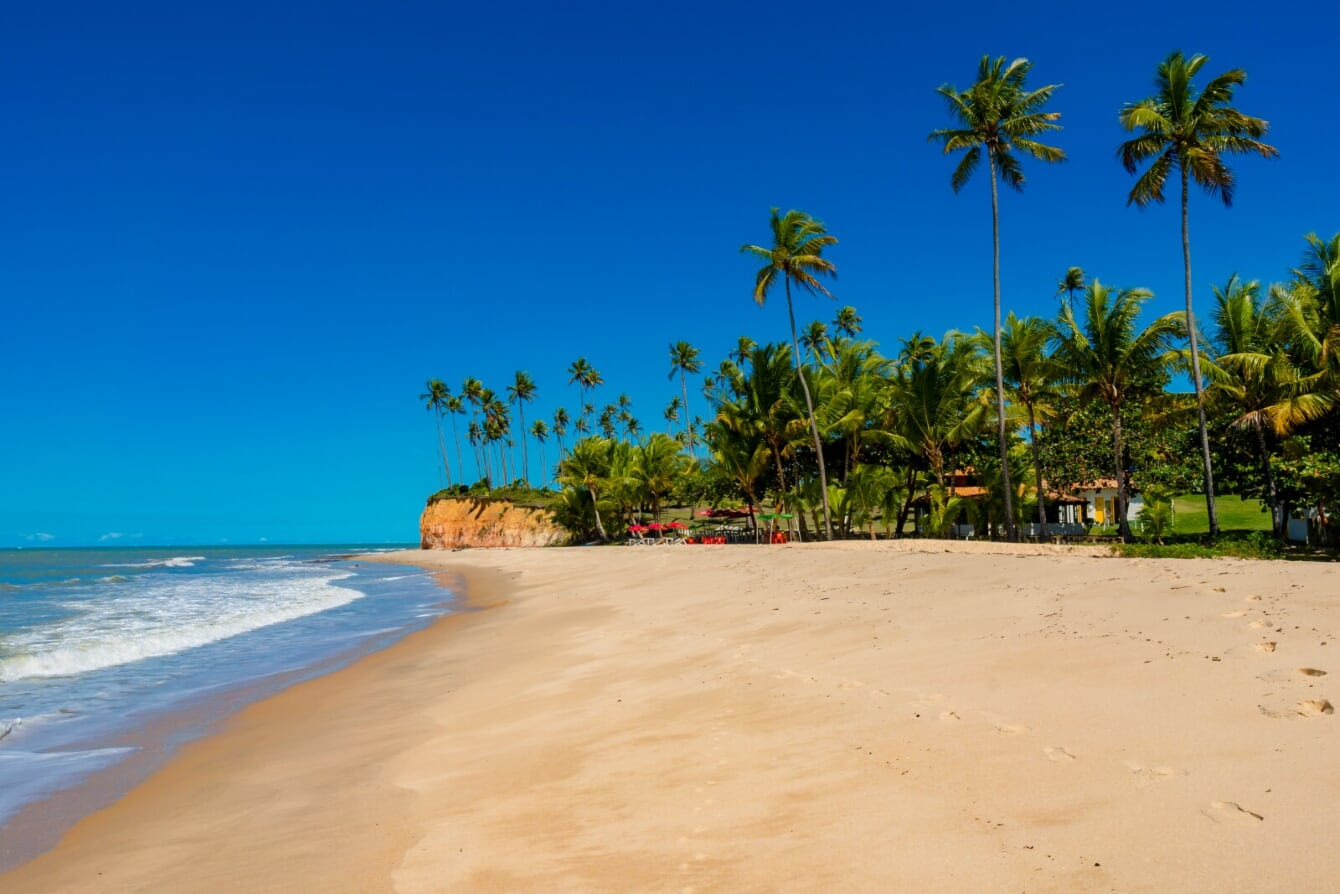 Movimento childfree é tendência no turismo